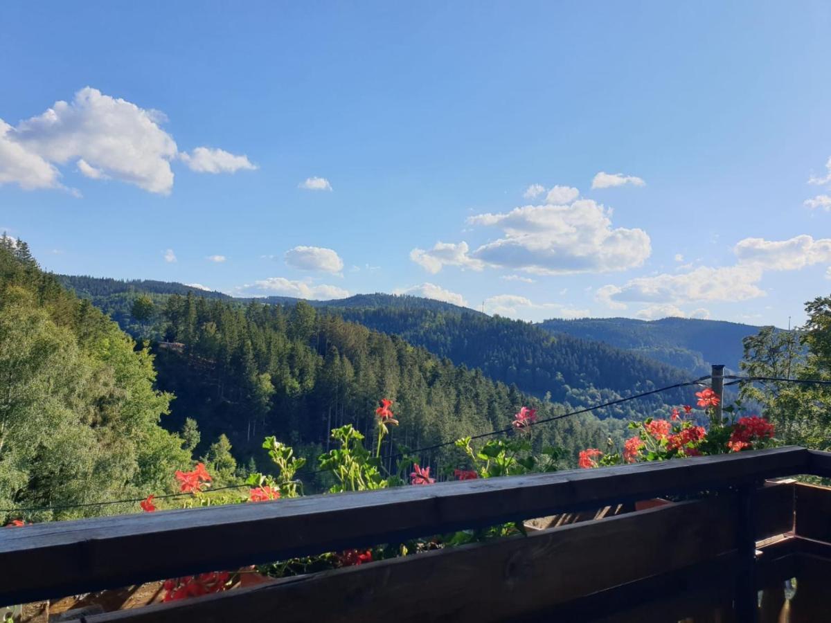 Landhaus Valentin Triberg im Schwarzwald Exterior photo