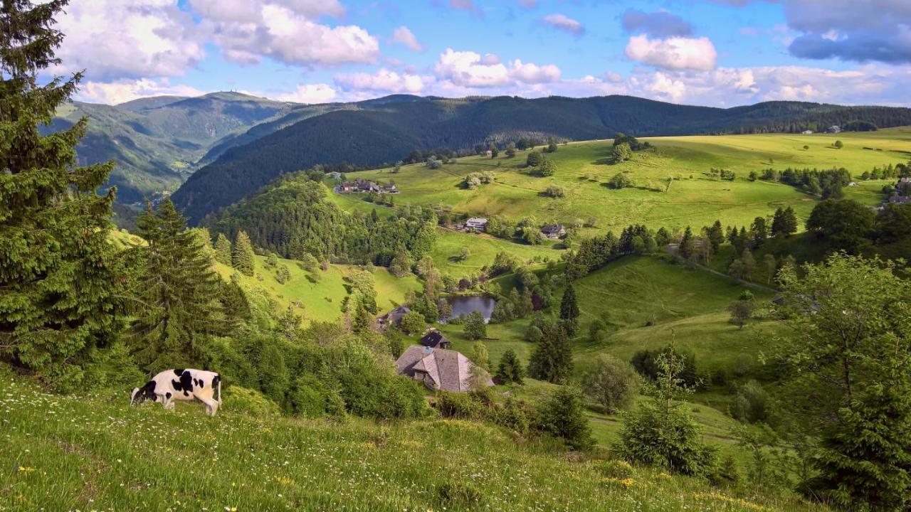 Landhaus Valentin Triberg im Schwarzwald Exterior photo