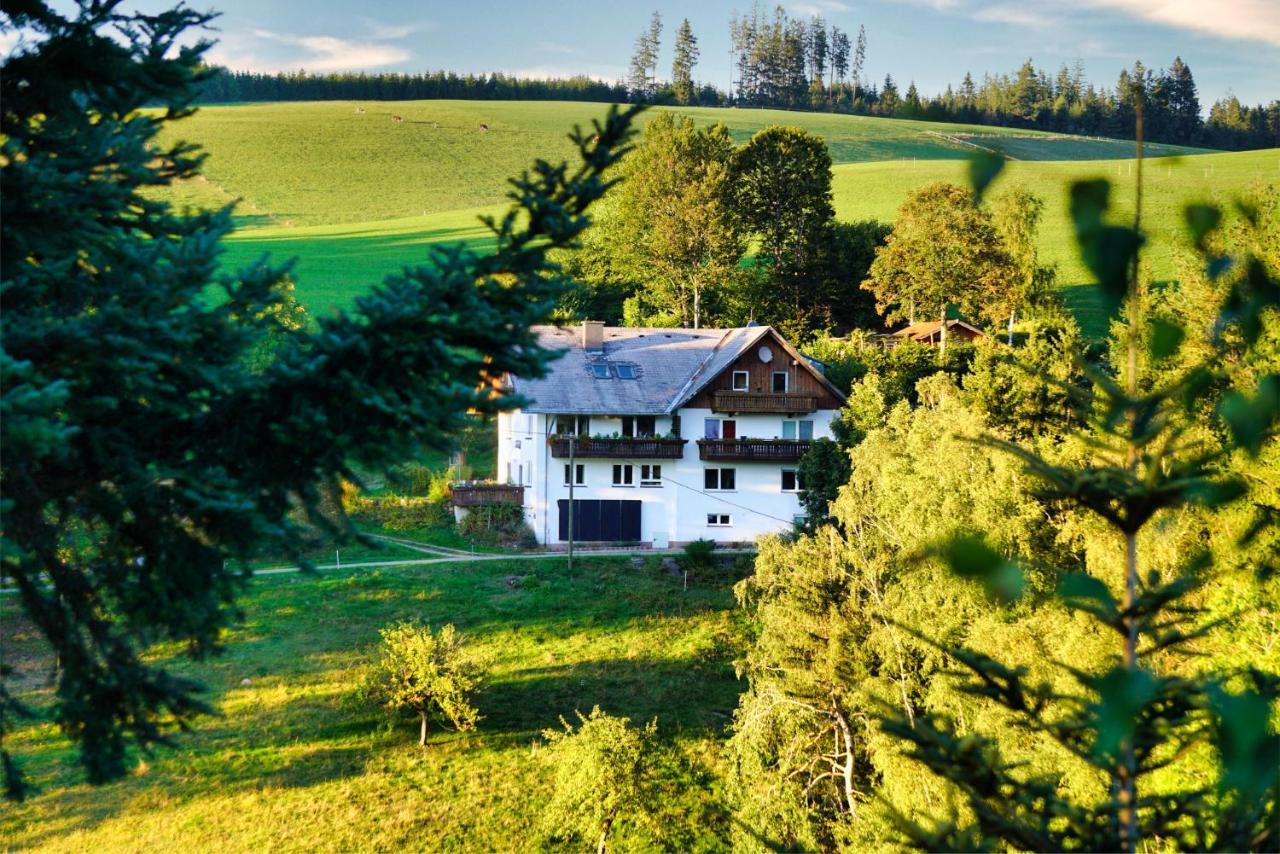 Landhaus Valentin Triberg im Schwarzwald Exterior photo