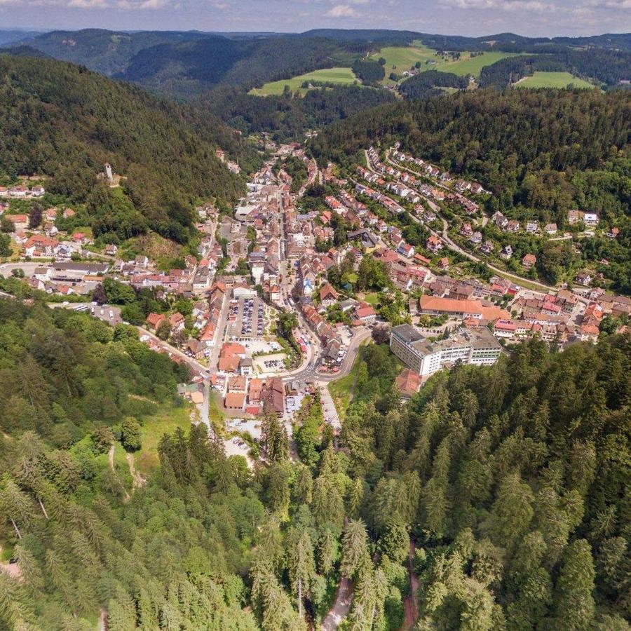 Landhaus Valentin Triberg im Schwarzwald Exterior photo